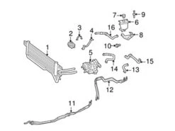 Genuine Mercedes 1645008975 Coolant Hose; Lower - Mercedes