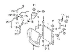 Genuine Mercedes 164501038264 Radiator Coolant Hose; Lower - Mercedes | 1645010382