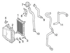 Genuine Mercedes 1665012282 Radiator Coolant Hose; Upper - Mercedes