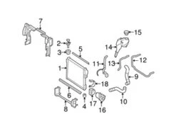 Genuine Mercedes 2215010125 Engine Coolant Overflow Hose - Mercedes | A2215010125